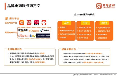 2023年中國品牌電商服務商行業研究報告——社會經濟咨詢服務解析